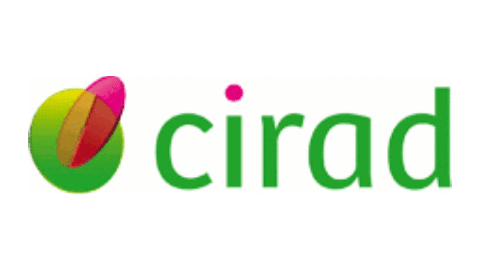 Accompaniment of the self-assessment of 2014-2018 achievements and methodological support for the formulation of 2019-2023 Scientific Strategy (CIRAD)