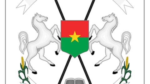 APPUI AU SYSTÈME PUBLIC DE VEILLE ÉPIDÉMIOLOGIQUE AU BURKINA FASO